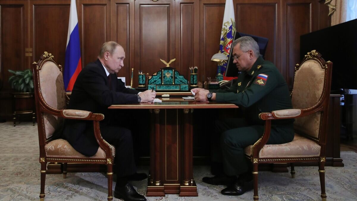    Президент РФ Владимир Путин и министр обороны РФ Сергей Шойгу во время встречи© РИА Новости / Михаил Климентьев
