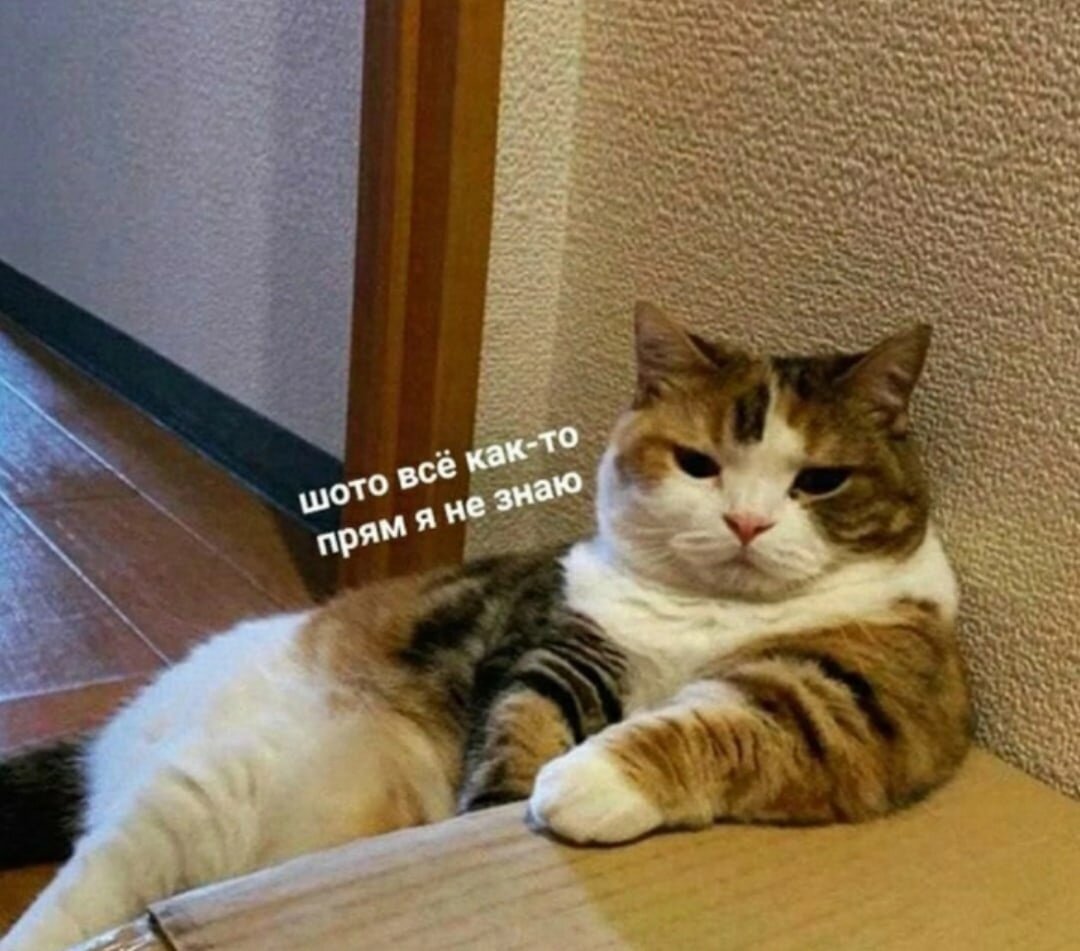 иллюстрация из яндекс картинки.