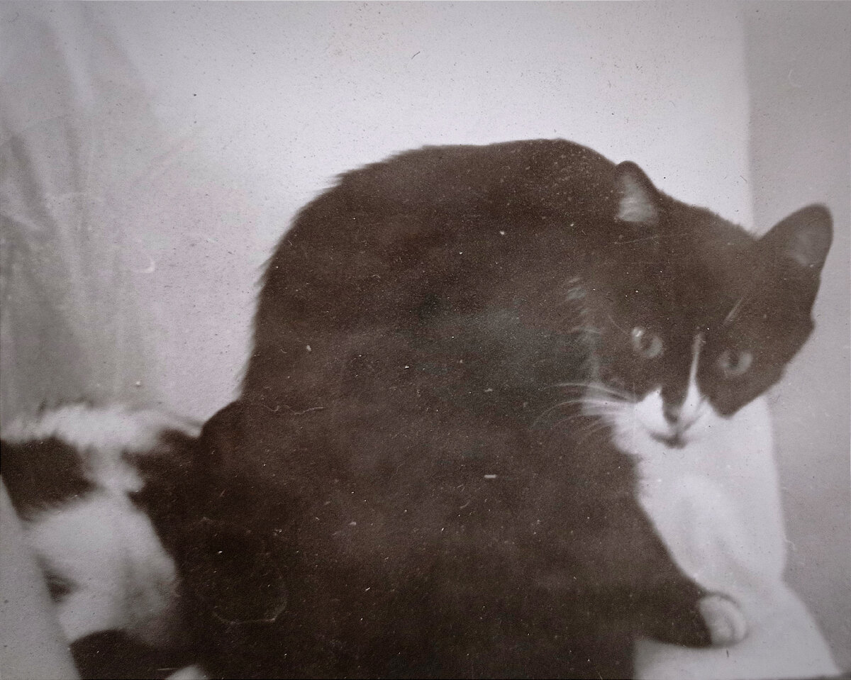 Миледи с Маркизой