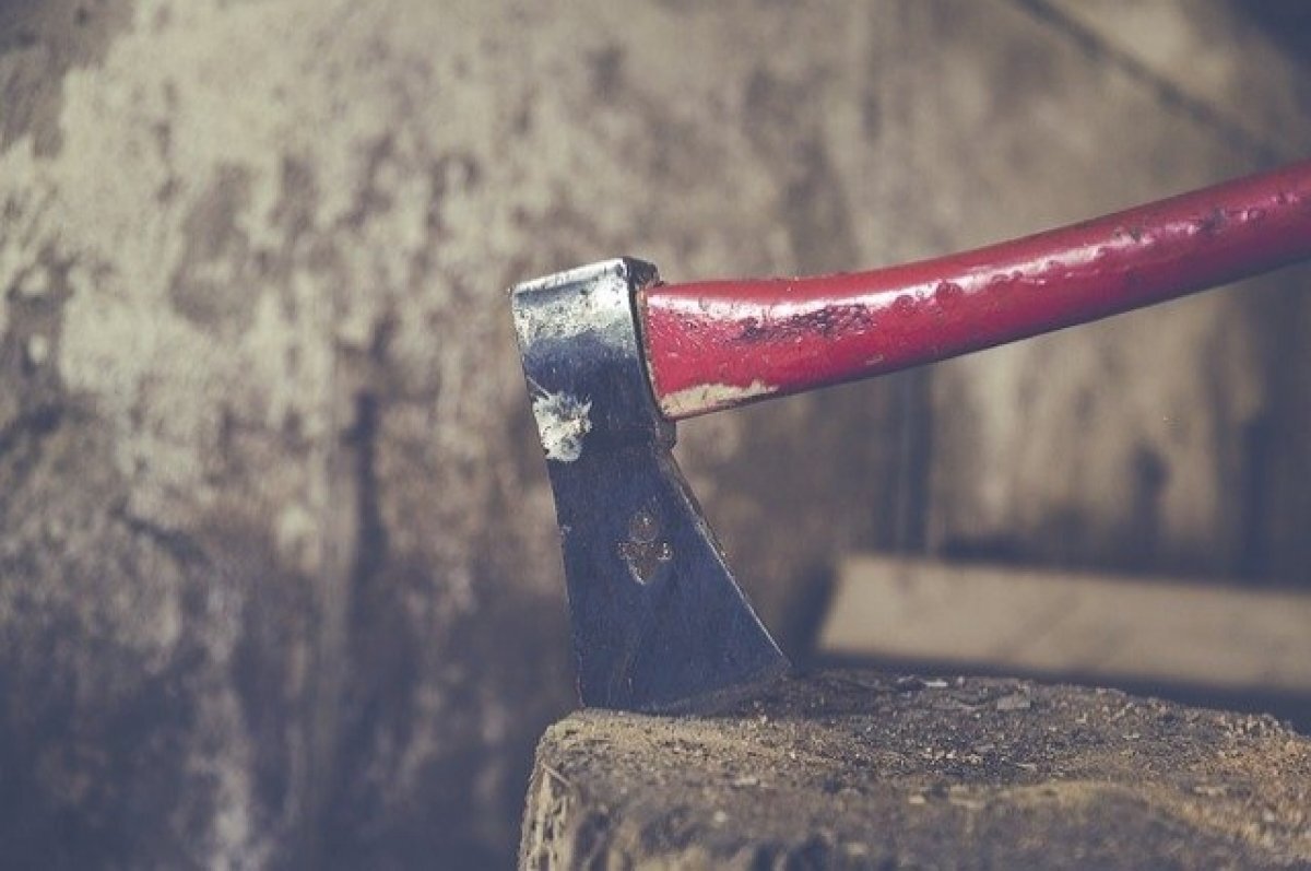    Мужчина из Томской области избил собутыльника топором