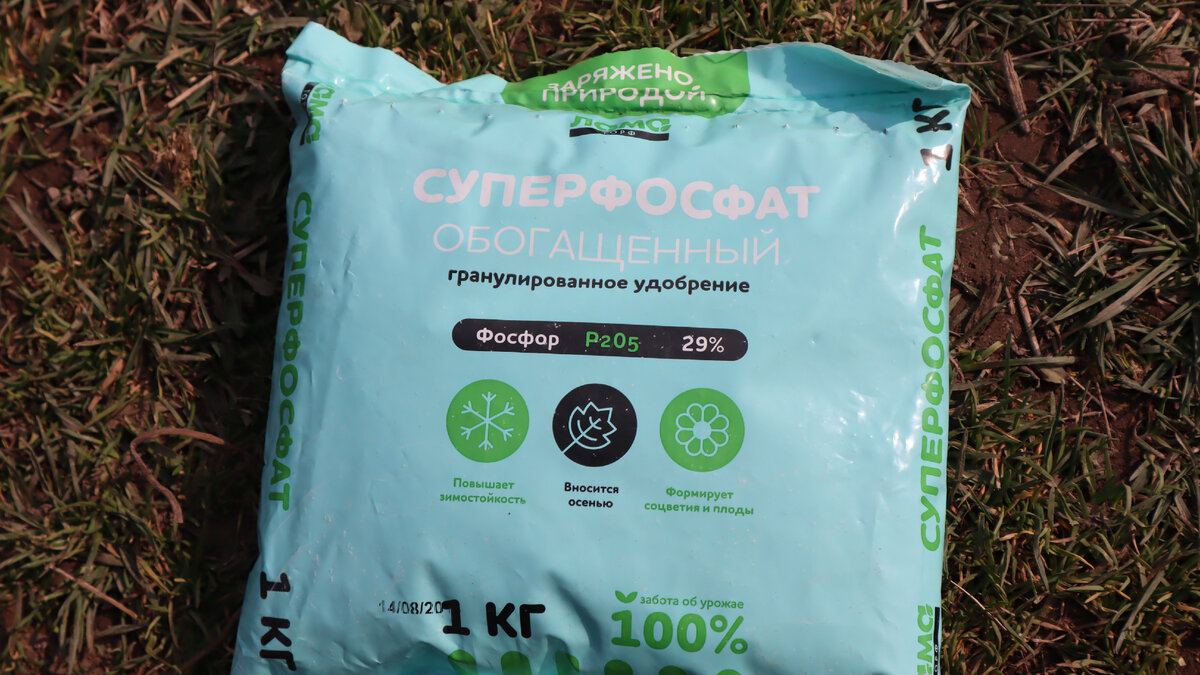 Суперфосфат осенью.