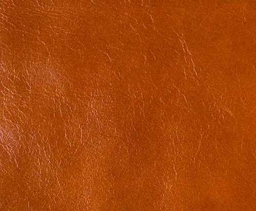 Анилиновая отделка кожи