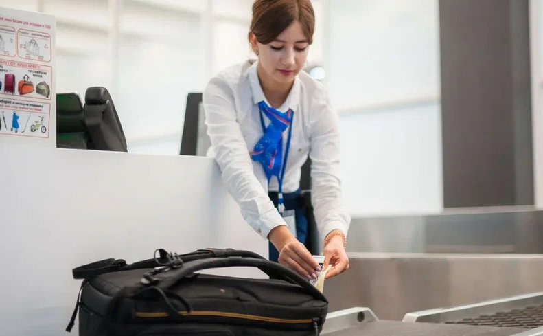    «Шереметьево» предложил снимать с рейсов за сверхнормативную ручную кладь