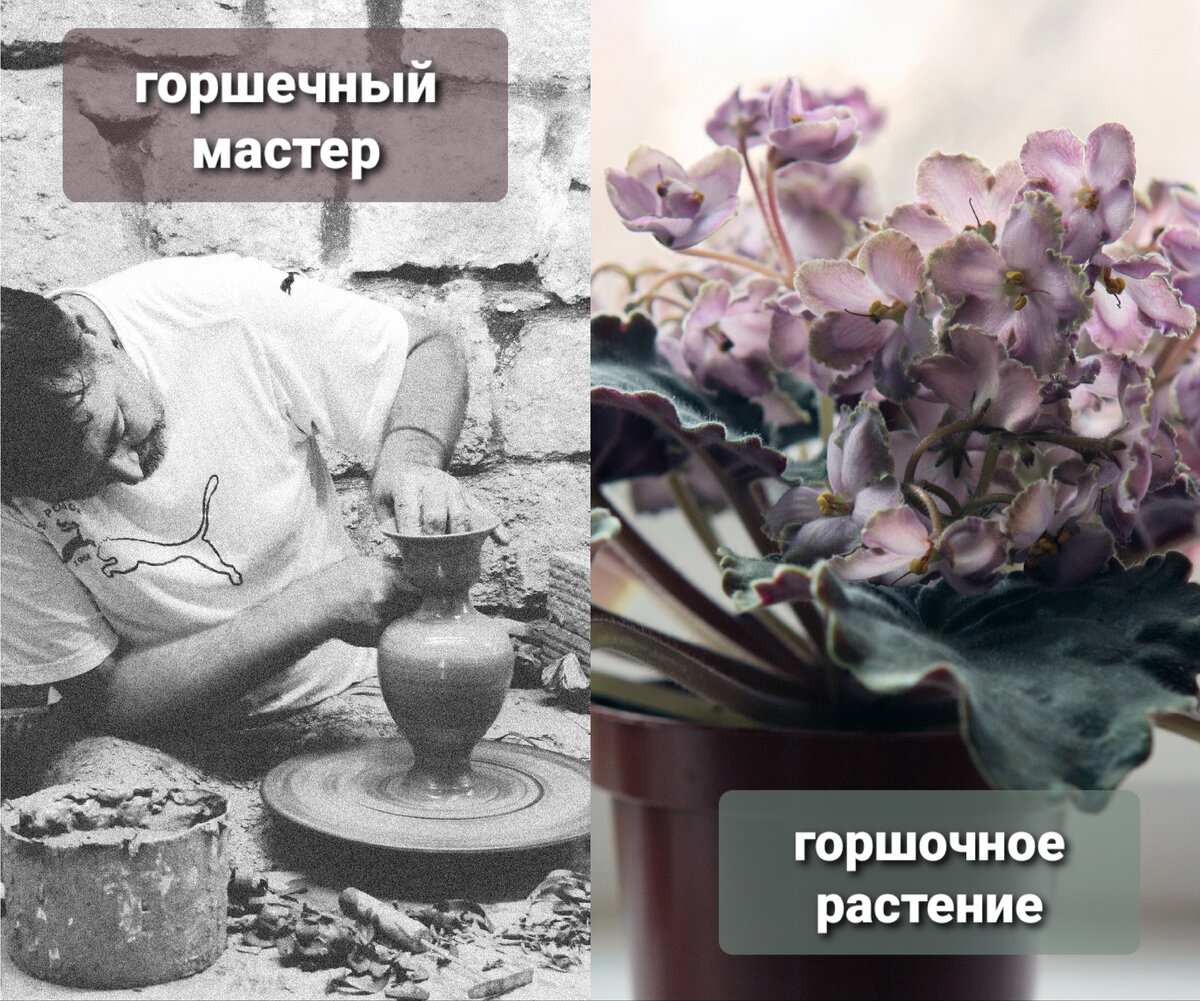 Фото Татьяны Карпеченко