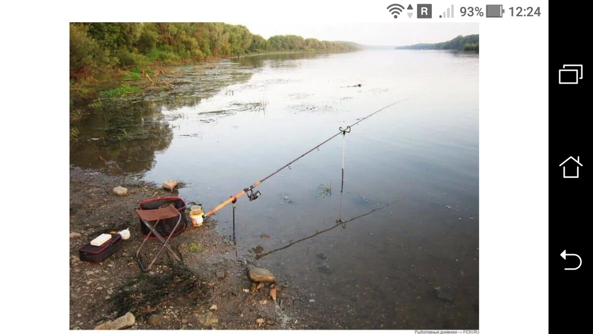 Рыбалка на реке на течении. Фидерная рыбалка. Снасти для рыбалки на речке. Фидер (Рыбная ловля). Донка для рыбалки.