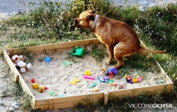 Фото взято из открытого доступа.