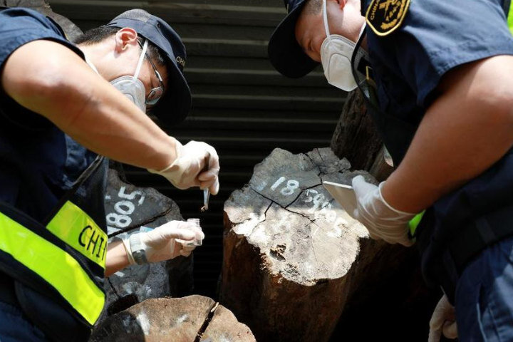     Таможенники из Китая случайно нашли неизвестного науке таракана