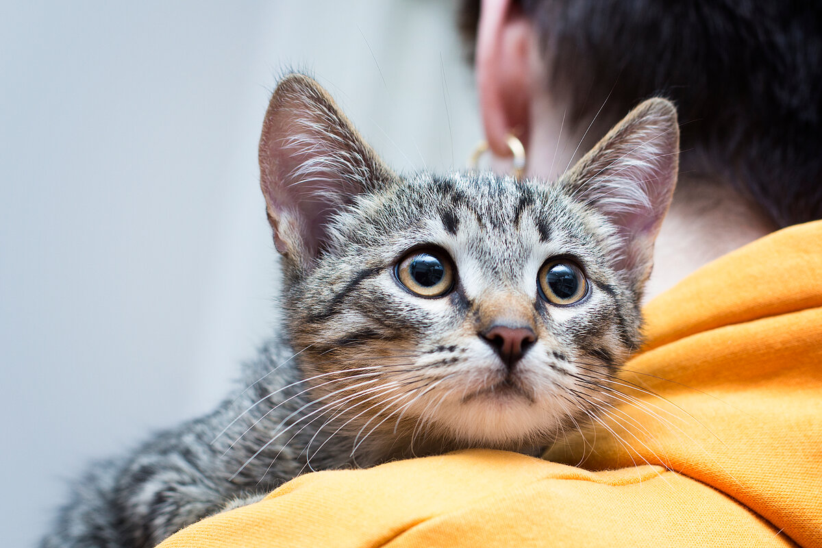 Беня оказался очень эмоциональным мальчиком