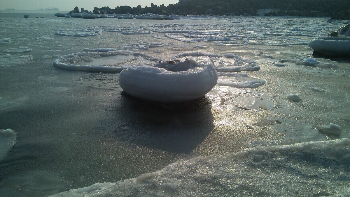 Вода приморского края. Опасное море. Моменте море. Грязная бомба в воде.