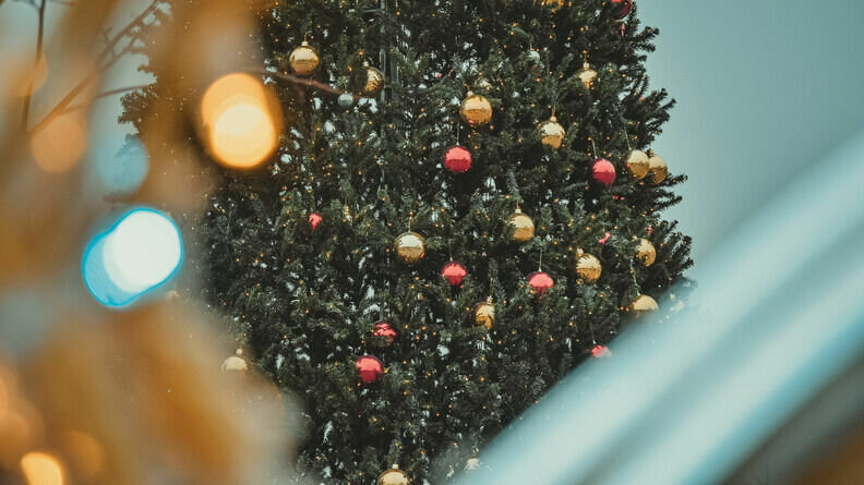     Губернатор Ростовской области Василий Голубев не получил звание лучшего губернатора в этом году, тем временем в регионе выявлены первые случаи свиного гриппа, а в Ростове рядом с парком Горького установят прошлогоднюю новогоднюю елку.