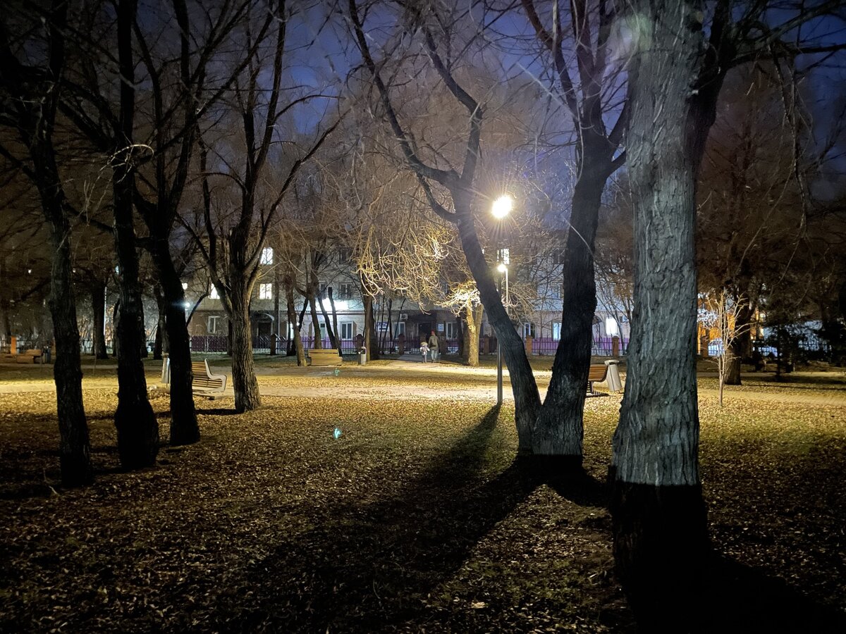 Фото автора. Не к месту, но просто нравится 🙂