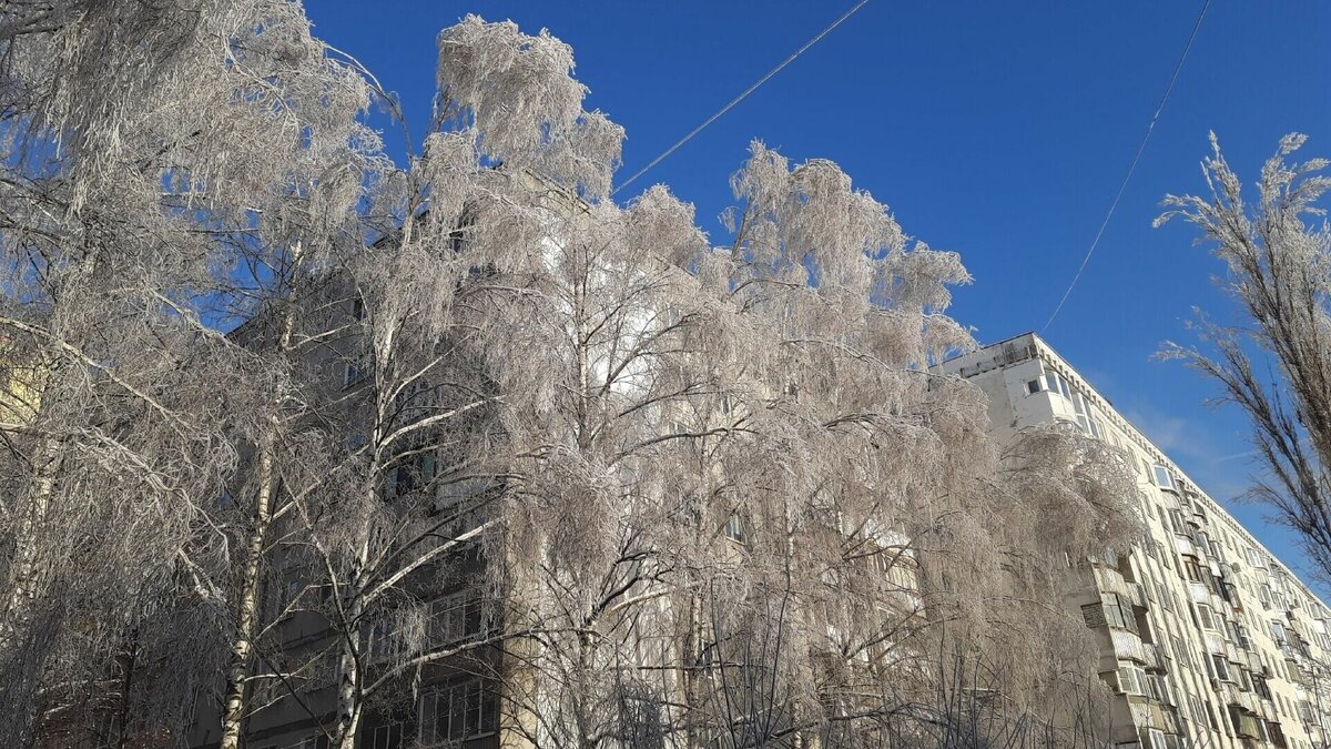     Холодный декабрь ожидается в Нижегородской области. Информацию об этом предоставила начальник отдела метеопрогнозов областного гидрометцентра ФГБУ «Верхне-Волжское УГМС» Ольга Мокеева.