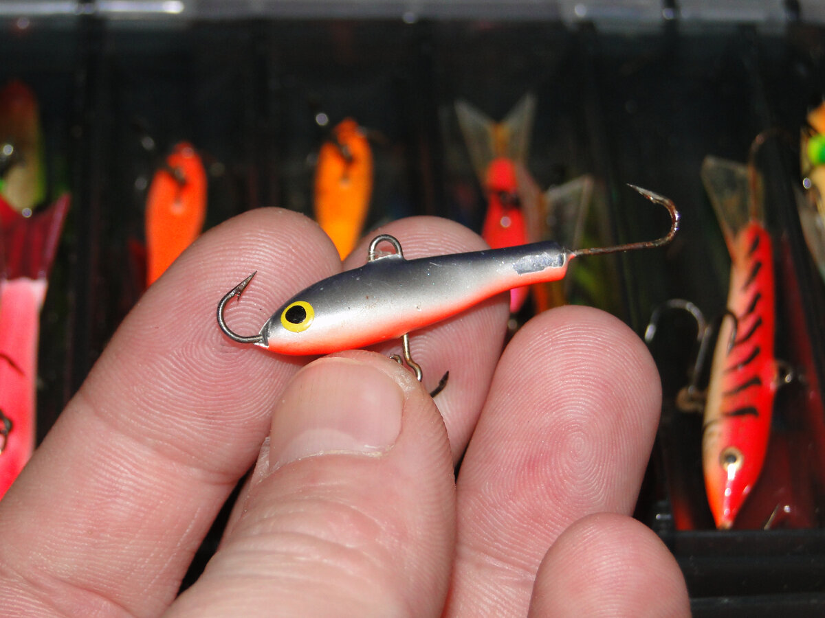 Надо бы хвостик или донора купить, да подлатать бойца, но все руки не доходят (((