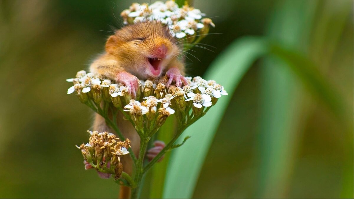 Источник: Яндекс.Картинки