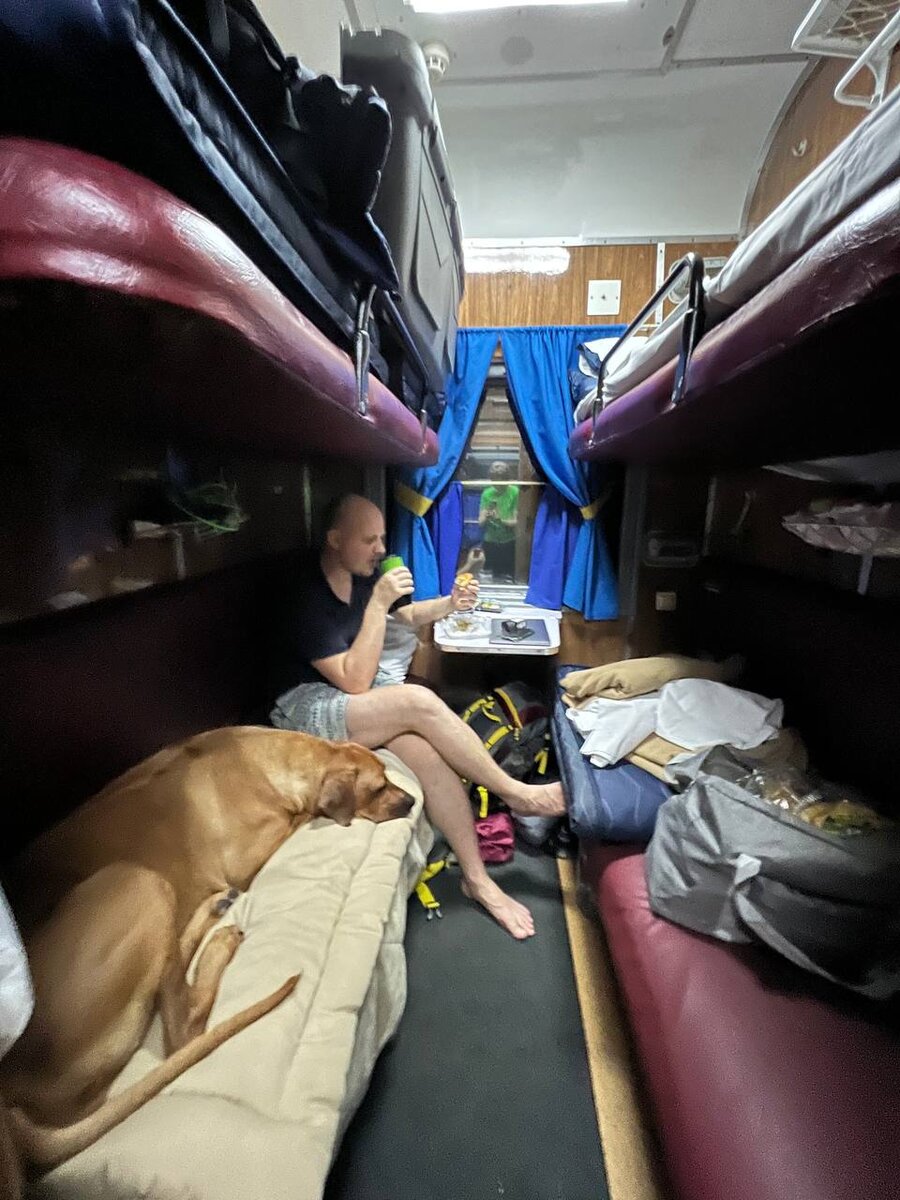 На поезде в Казахстан с собакой