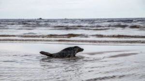    Фото: vodokanal.spb.ru / ГУП «Водоканал Санкт-Петербурга» Игнатенко Виктор
