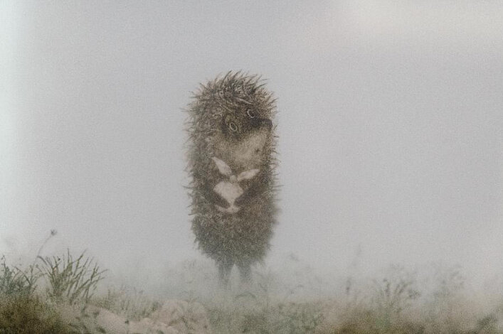 Фрагмент из мультика "Ёжик в тумане"