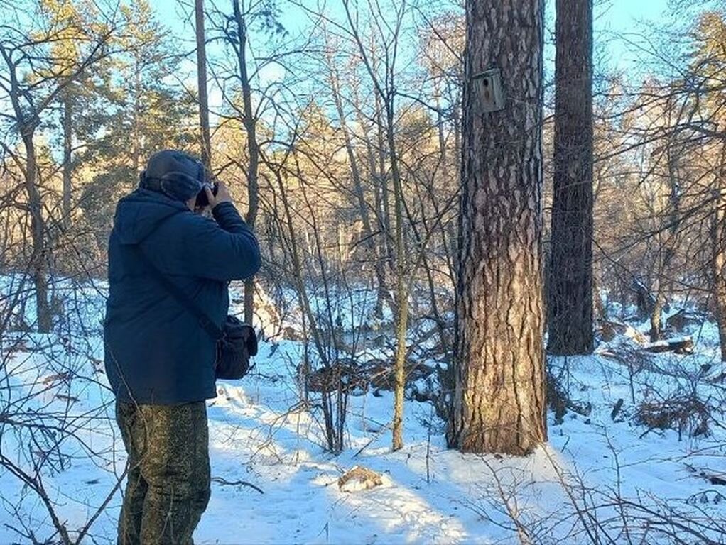    Оляпку или водяного воробья из «Бузулукского бора» объявили в розыск