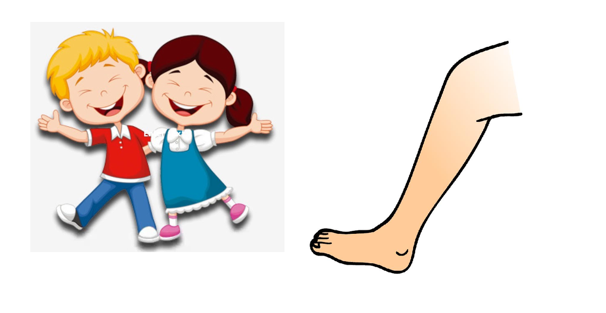 Это Мы, а это нога . Мы-нога, мы-нога, много(а)