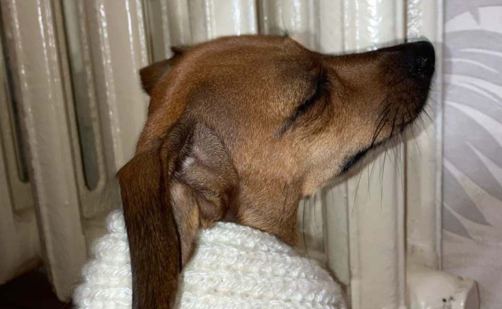    фото из архива Курских известий