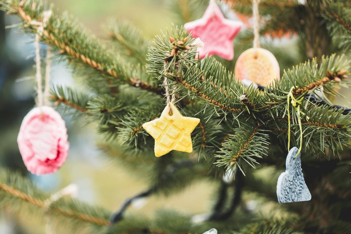    Как правильно выбросить елку 123RF/legion-media.ru