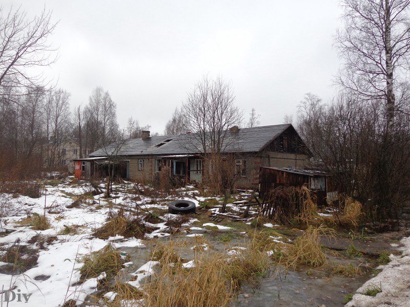 Торфяной завод парголово. Посёлок торфяное выборгский район. Посёлок торфяное выборгский. Вологдина торфяное поселок. Парнасная 1а.