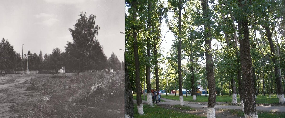 Фото Н.Голякова                                                     2012