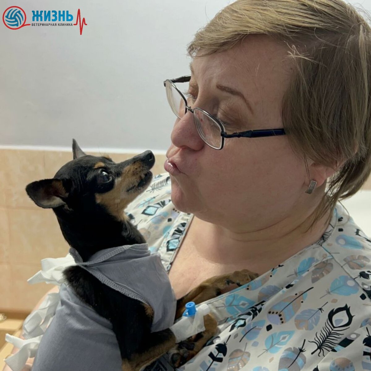 Ветеринарная клиника в Калуге "Жизнь"