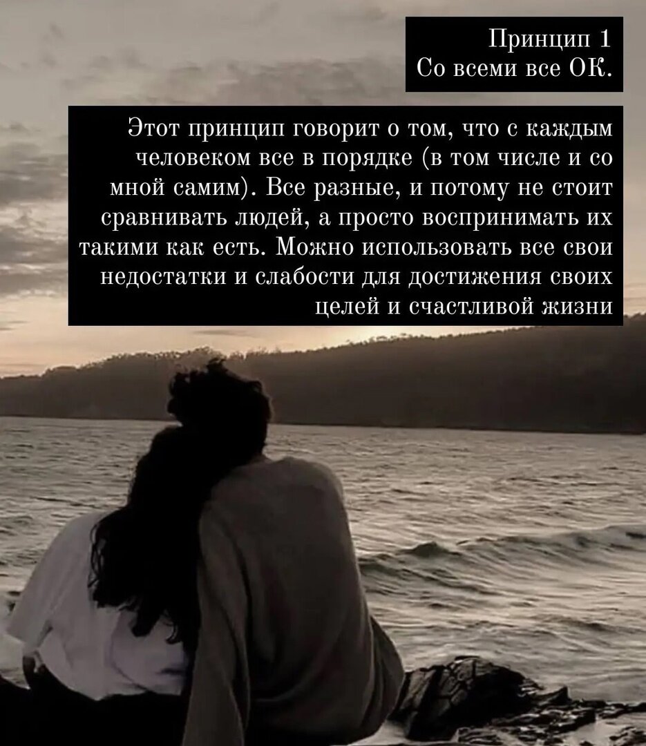 принцип 1