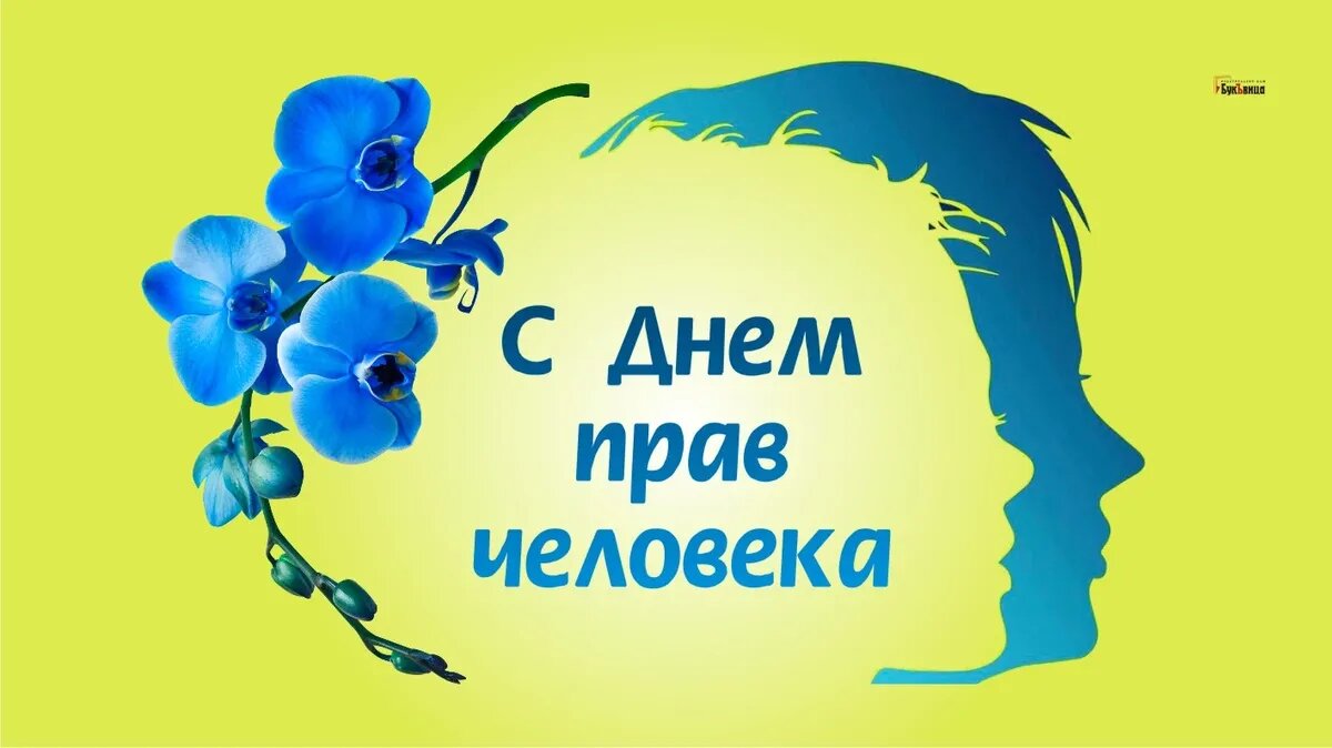 День прав человека. Иллюстрация: «Весь Искитим»