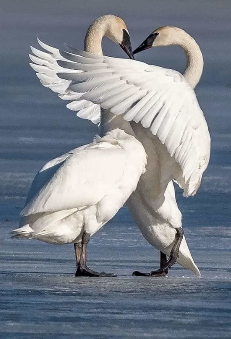 Что для тебя важнее