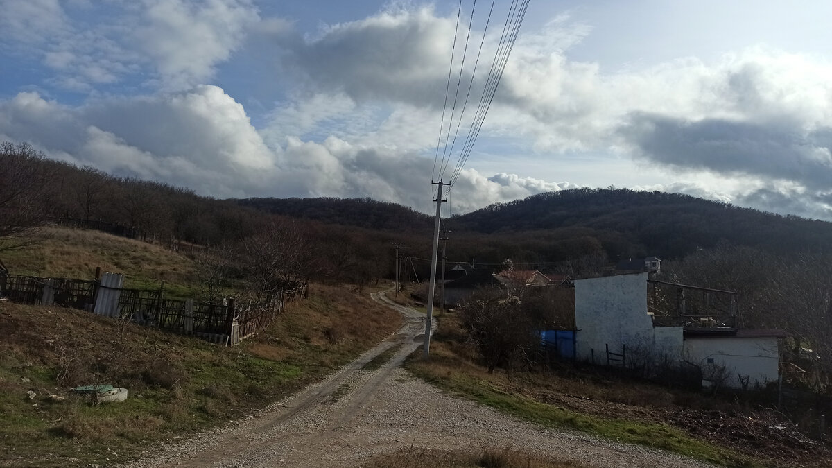 Дорога в лес