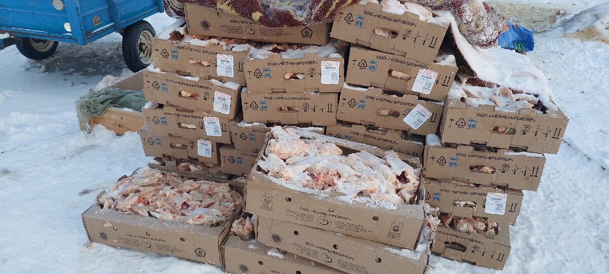 Вот так выглядят куриные каркасы