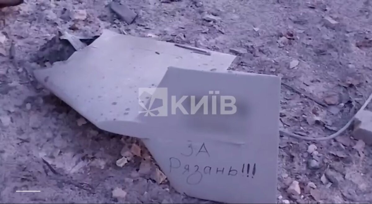 Фото: скриншот / Telegram-канал Евгения Поддубного Ирина Мудрых  📷
