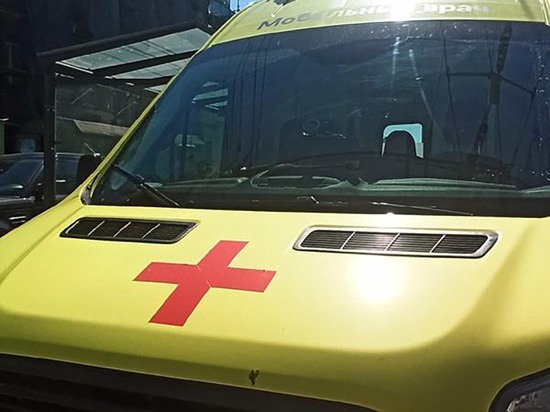     Фото: МК на Дону