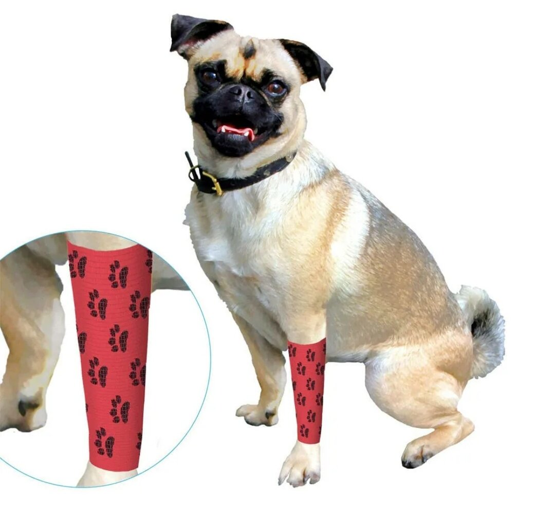 самофиксирующийся бинт