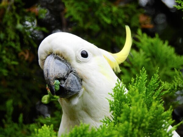    Фото: freepik.com