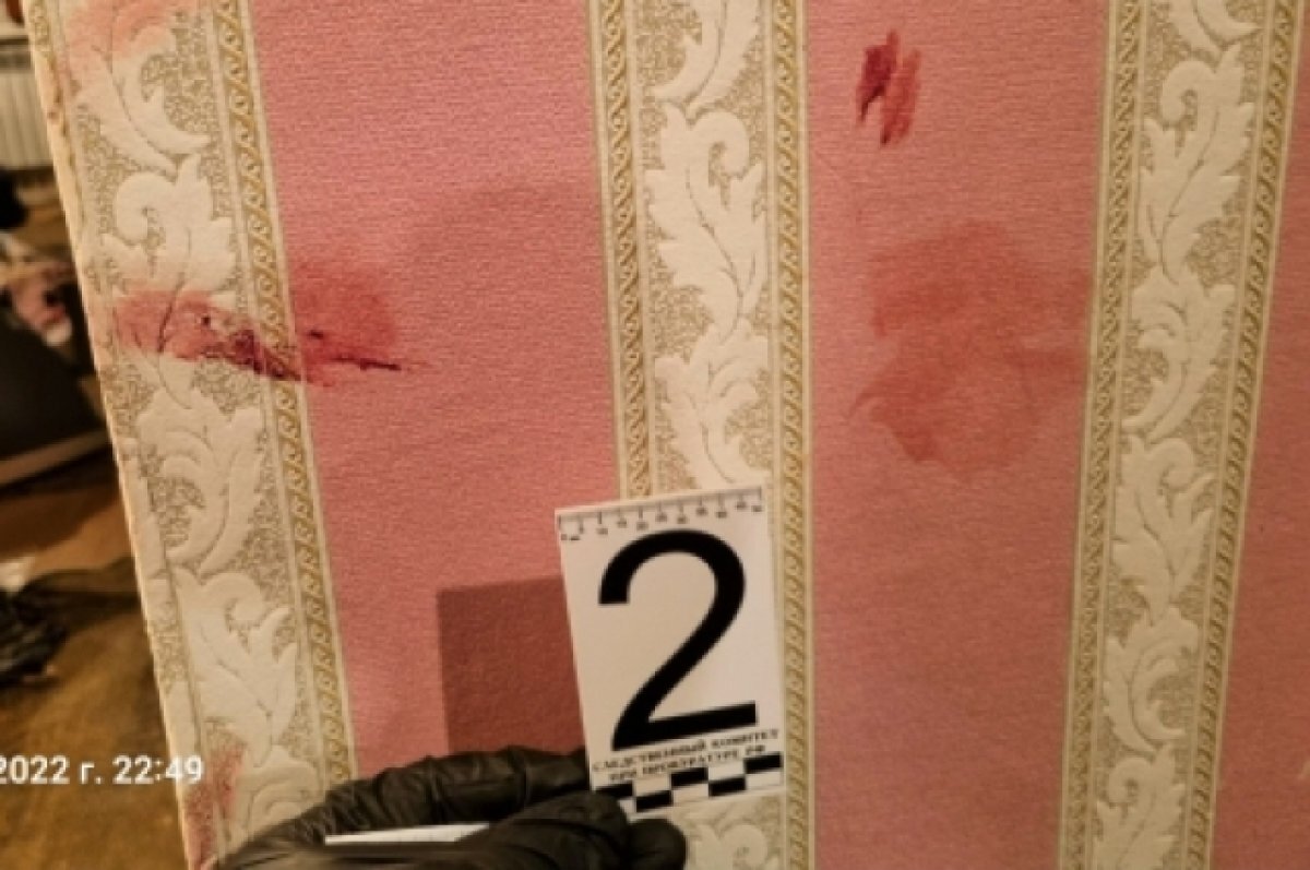    В Мончегорске 41-летний мужчина убил 82-летнюю женщину