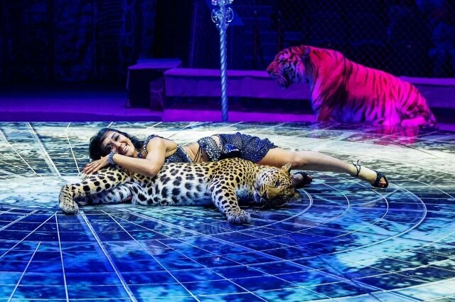    Все артисты многогранно талантливы. Фото: Шоу «5 КОНТИНЕНТОВ»