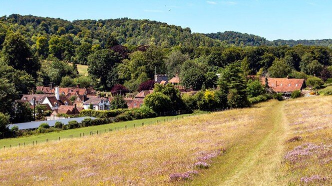 Иллюстрация из открытых источников