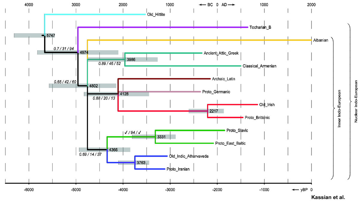 От Кавказа до Европы – генетическая история и индоевропейские языки