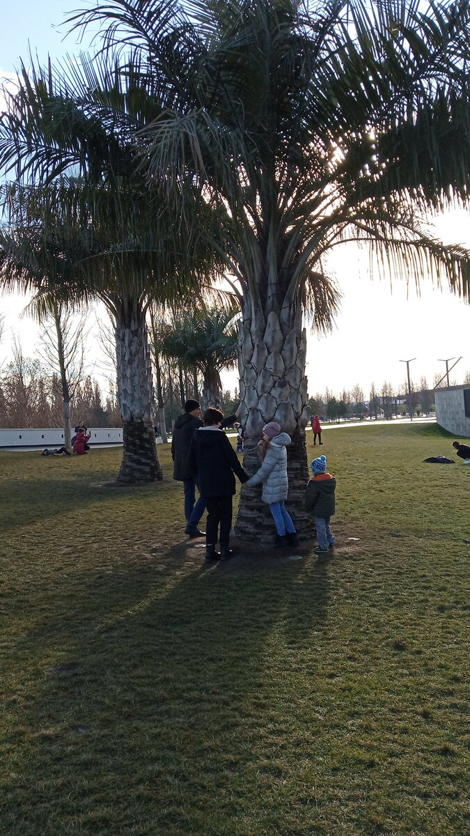 Галицкий парк Краснодар, январь 2021