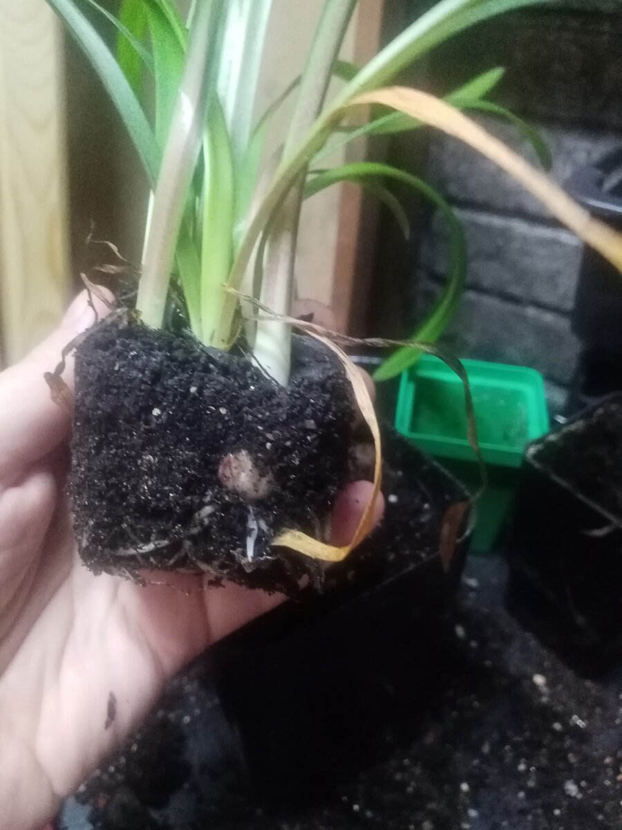 Вид внутри кассеты