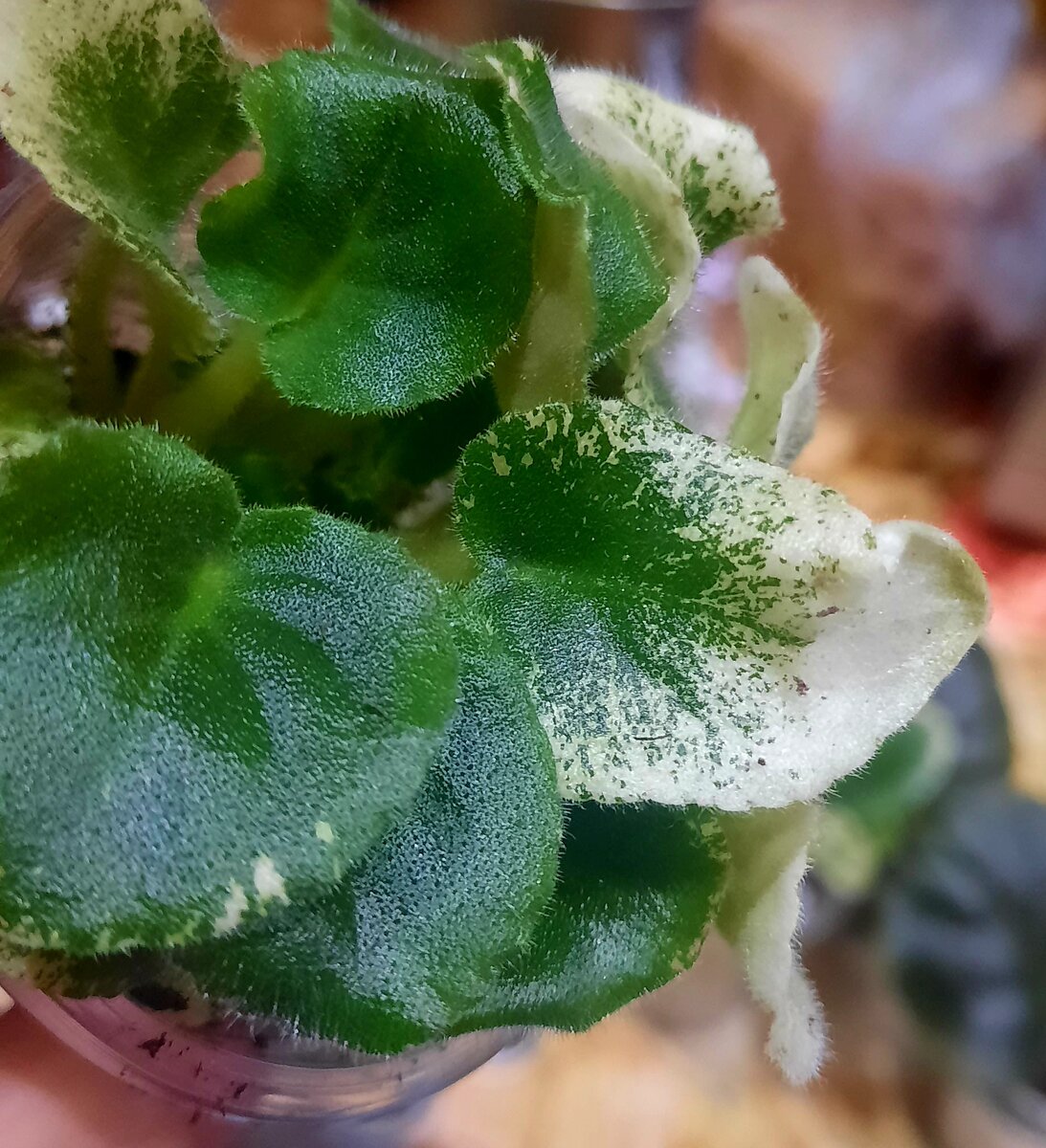 Фото из личного архива