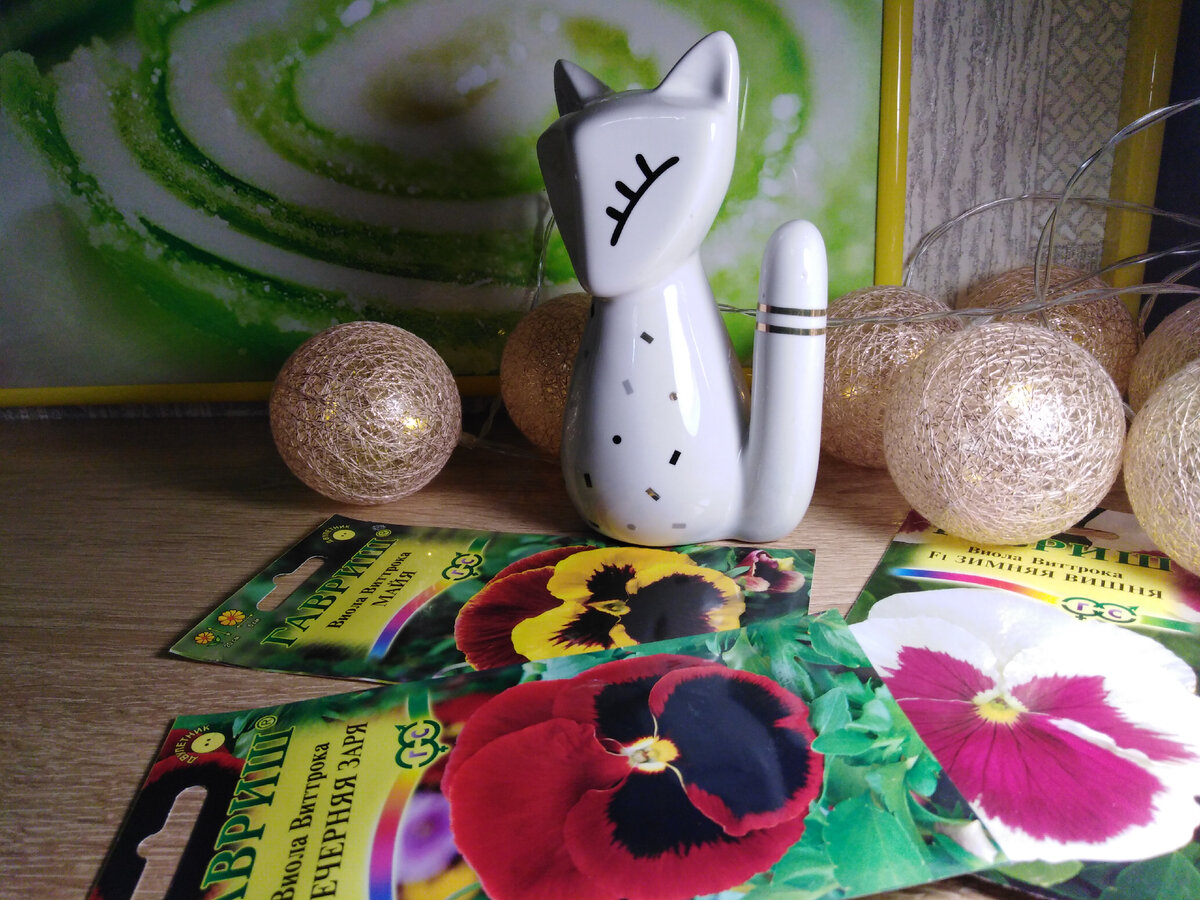 Семена виолы Виттрока, купленные для этого сезона, в розарии: Майя, Зимняя вишня, Вечерняя заря