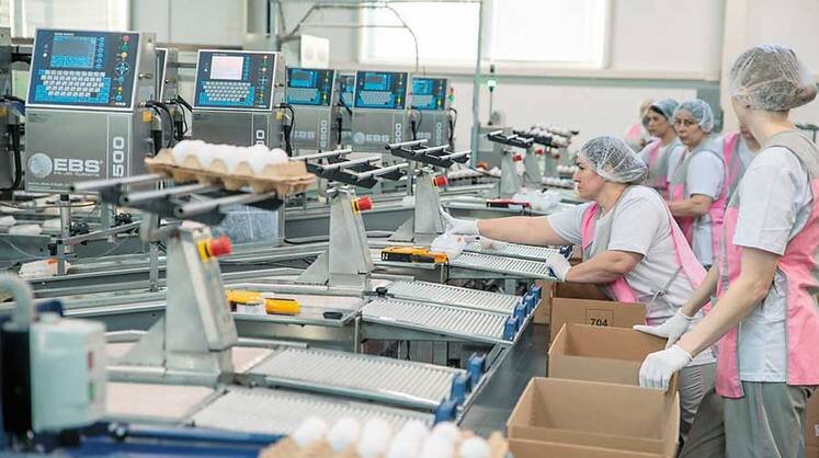    ИНФОРМАЦИОННЫЙ ШТАБ ПРАВИТЕЛЬСТВА ТЮМЕНСКОЙ ОБЛАСТИ В цех сортировки из птичников яйца поступают по транспортеру длиной более 250 метров. Оборудование позволяет обрабатывать 120 тыс. штук в час