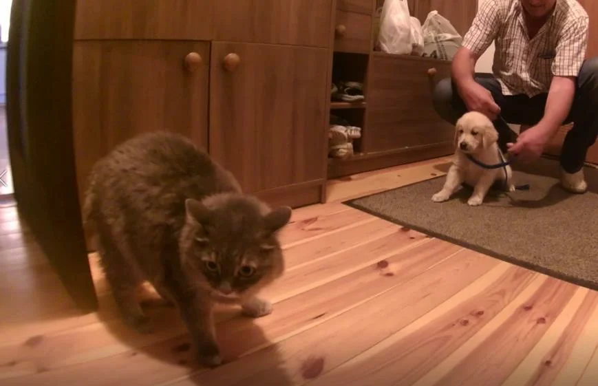 Мой мир рухнул в этот момент