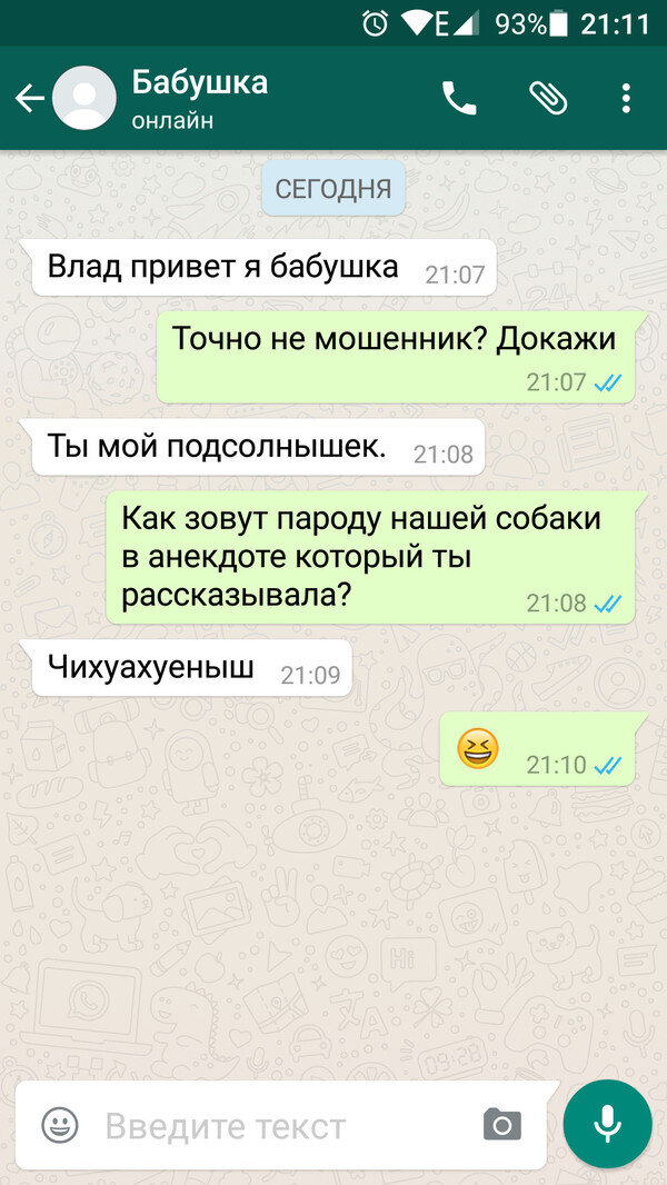 Приколы в ватсапе картинки