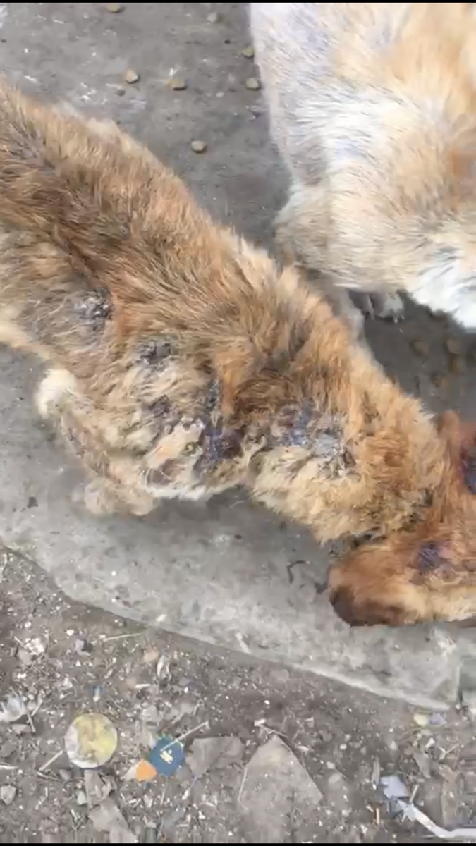 Не было живого места