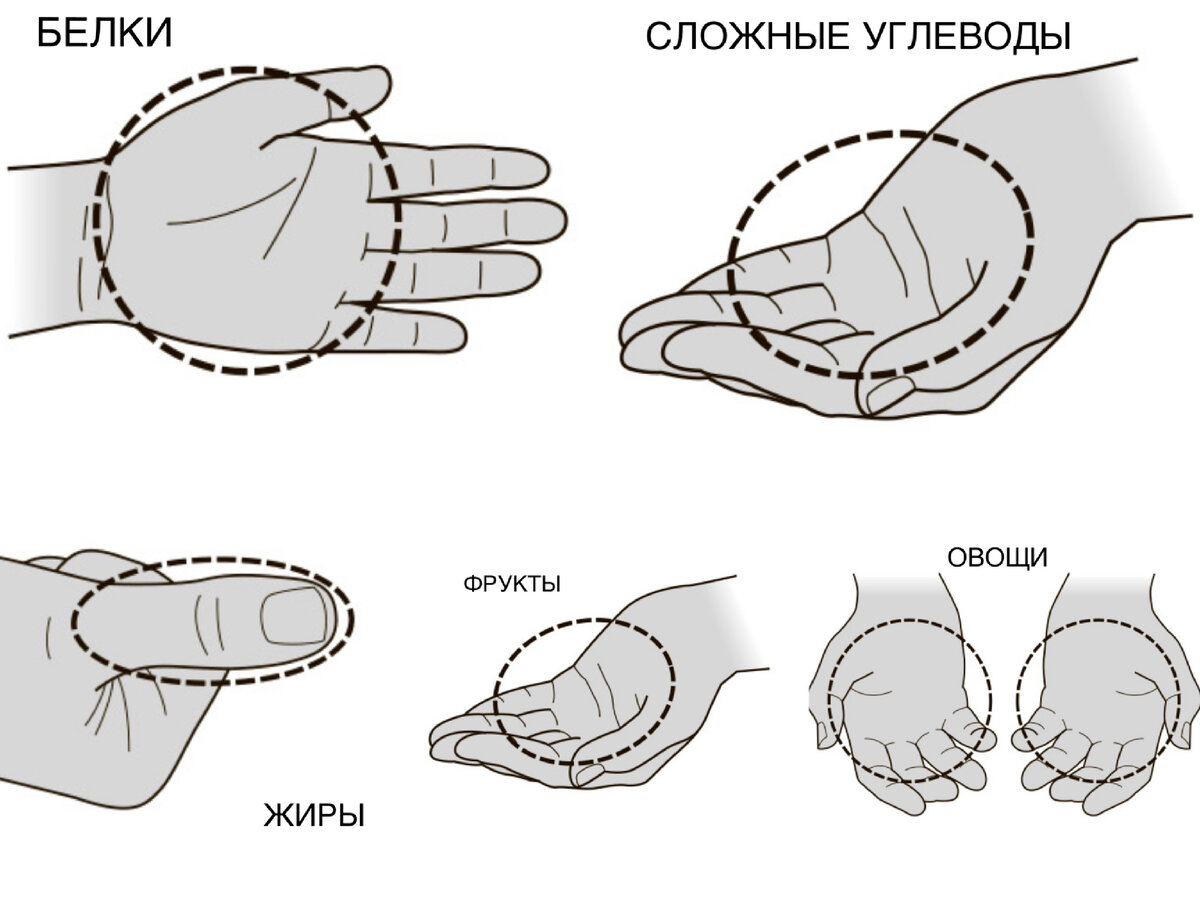 Суточное меню для похудения по методу ладони. Оказалось проще, чем я думала  (заодно и калории посчитала) | ХУДЕЕМ ВКУСНО! | Дзен